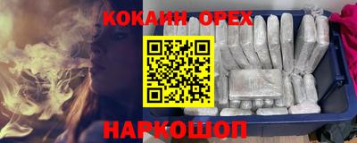 крисы Гатчина