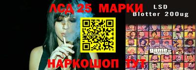 крисы Гатчина
