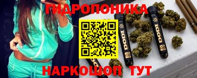 крисы Гатчина