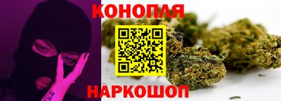 крисы Гатчина