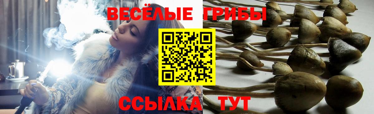 Псилоцибиновые грибы GOLDEN TEACHER  Вход с VPN  Нижнекамск 