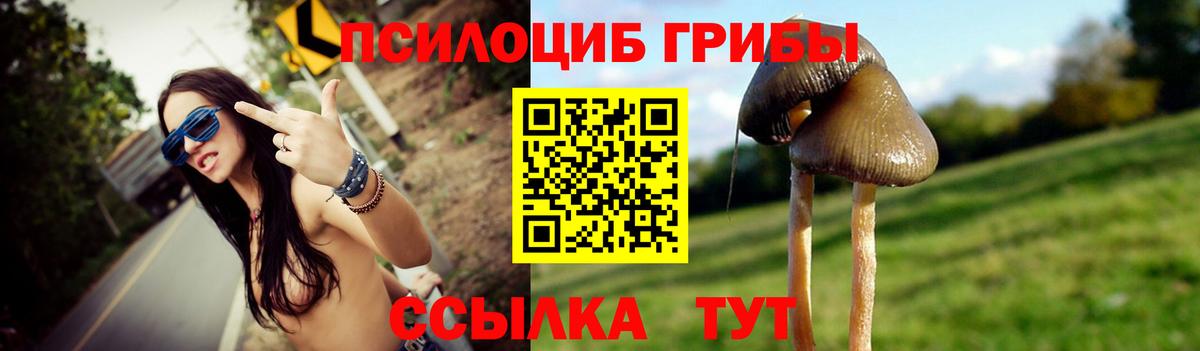 Галлюциногенные грибы Psilocybe Нижнекамск